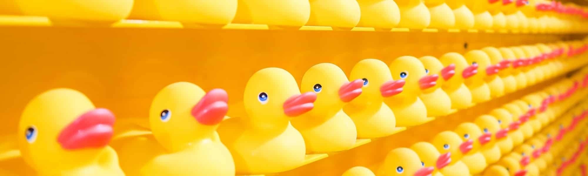 Coding Challenges